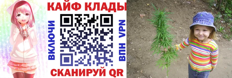 Как найти закладки Гвардейск COCAIN  Марихуана  MEGA ТОР  Гашиш  Меф мяу мяу  Alpha PVP 
