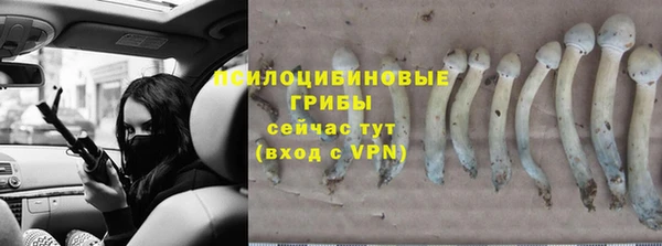 эйфоретик Балабаново