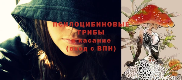 молекула духа Баксан