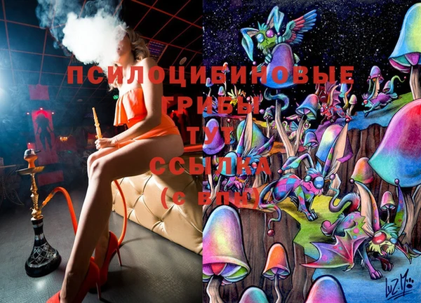 молекула духа Баксан