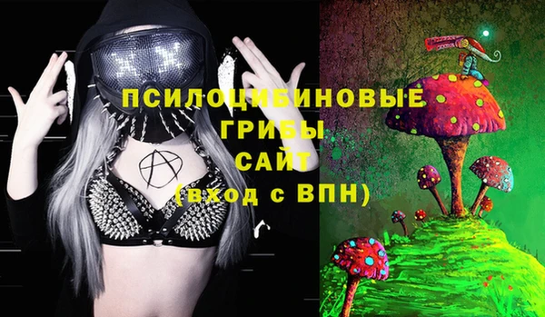 молекула духа Баксан